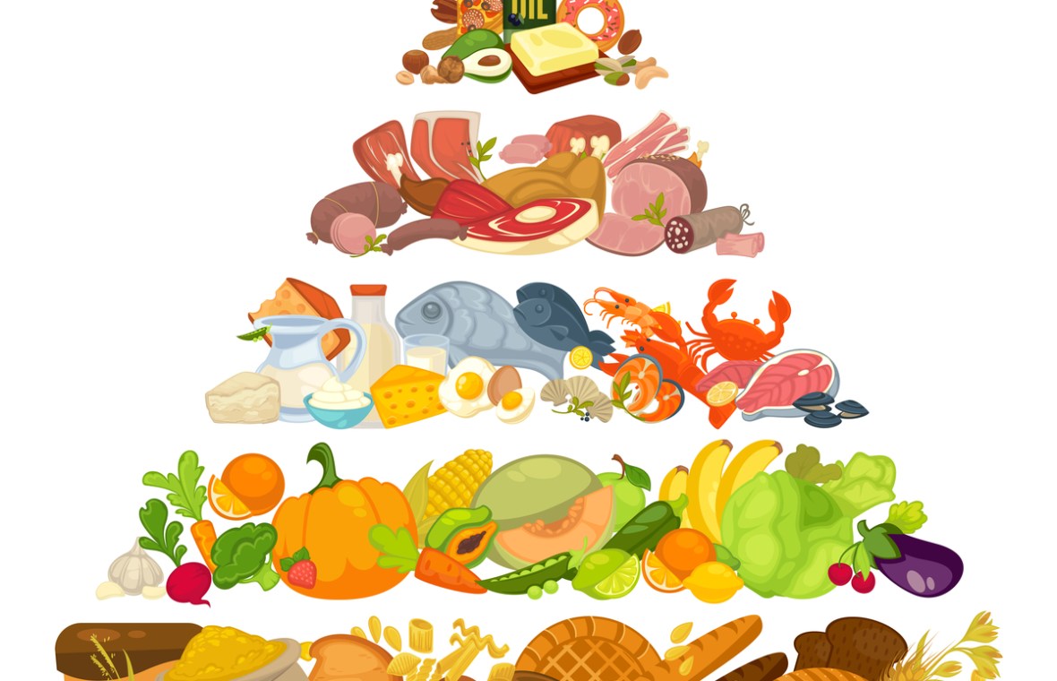 Baza piramidei alimentaţiei sănătoase o reprezintă, oricum, alimentele de origine vegetală. Adică legume, zarzavaturi, fructe, cereale preponderent integrale, uleiuri vegetale, seminţe şi fructe oleaginoase.