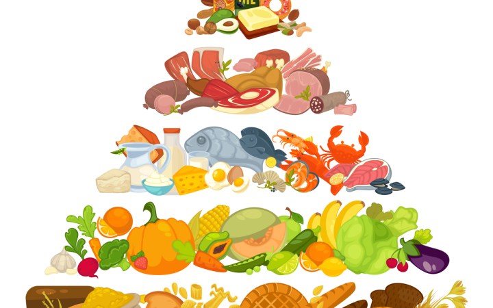 Baza piramidei alimentaţiei sănătoase o reprezintă, oricum, alimentele de origine vegetală. Adică legume, zarzavaturi, fructe, cereale preponderent integrale, uleiuri vegetale, seminţe şi fructe oleaginoase.