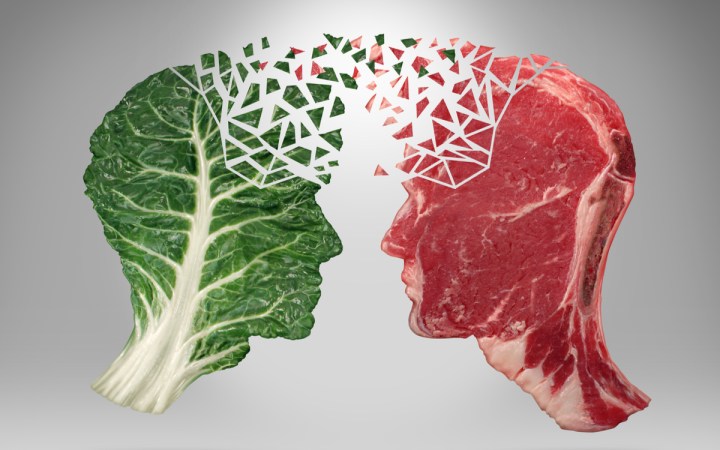 proteinele animale sau vegetale. salata versus carne