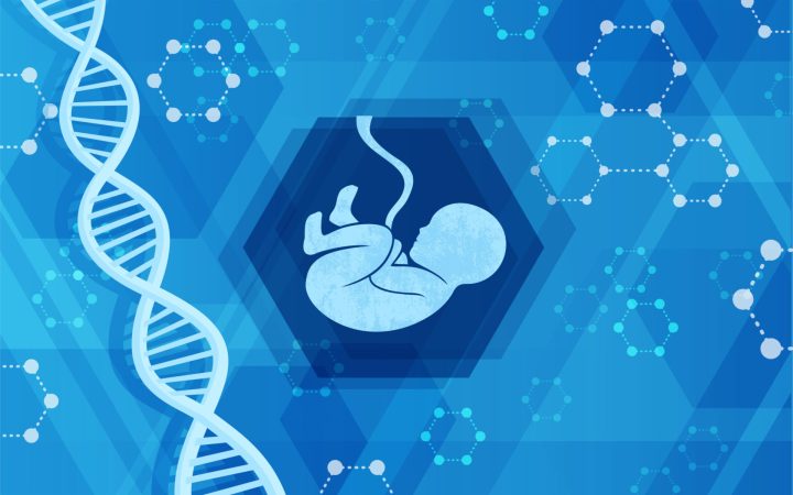 Cariotipul genetic se realizează din lichidul amniotic prelevat prin amniocenteză. Foto: Shutterstock
