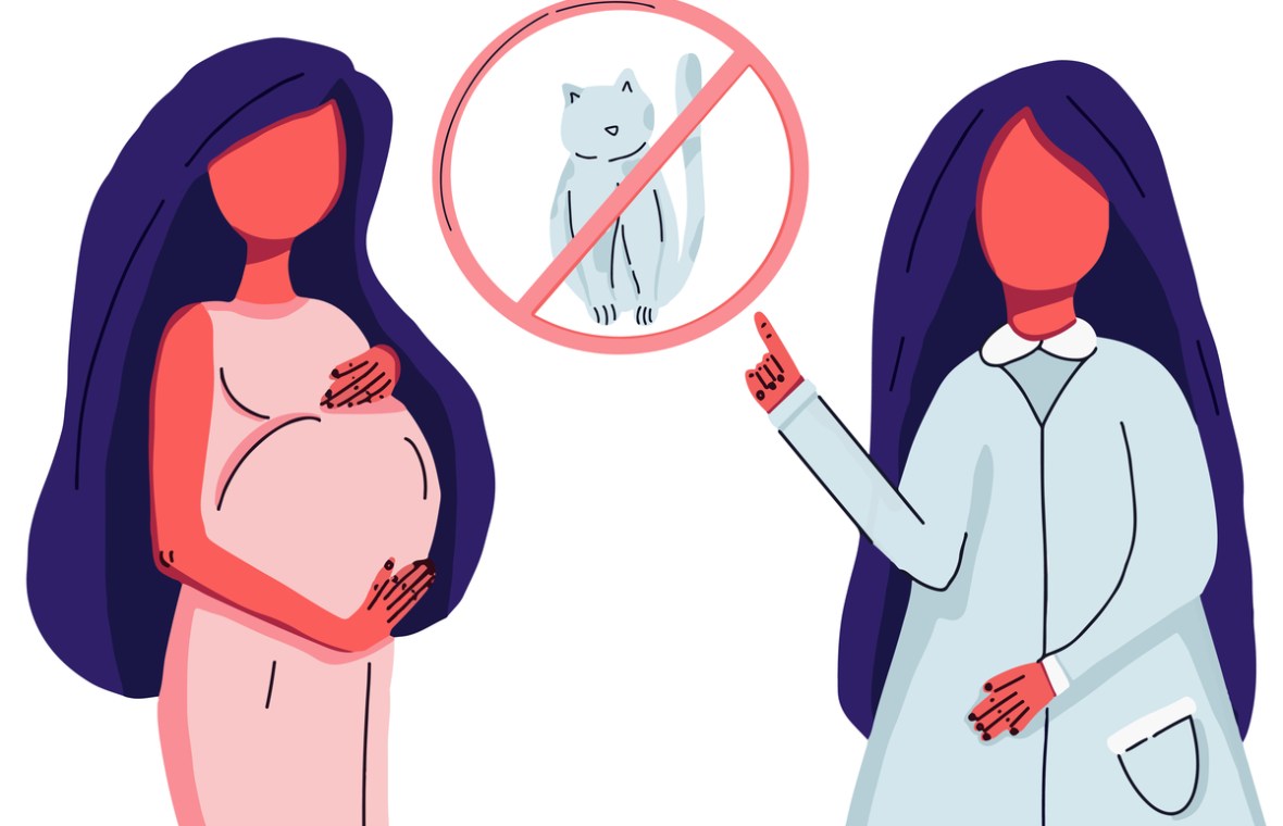 toxoplasmoza pericole. Medic îi recomandă unei gravide să evite pisicile