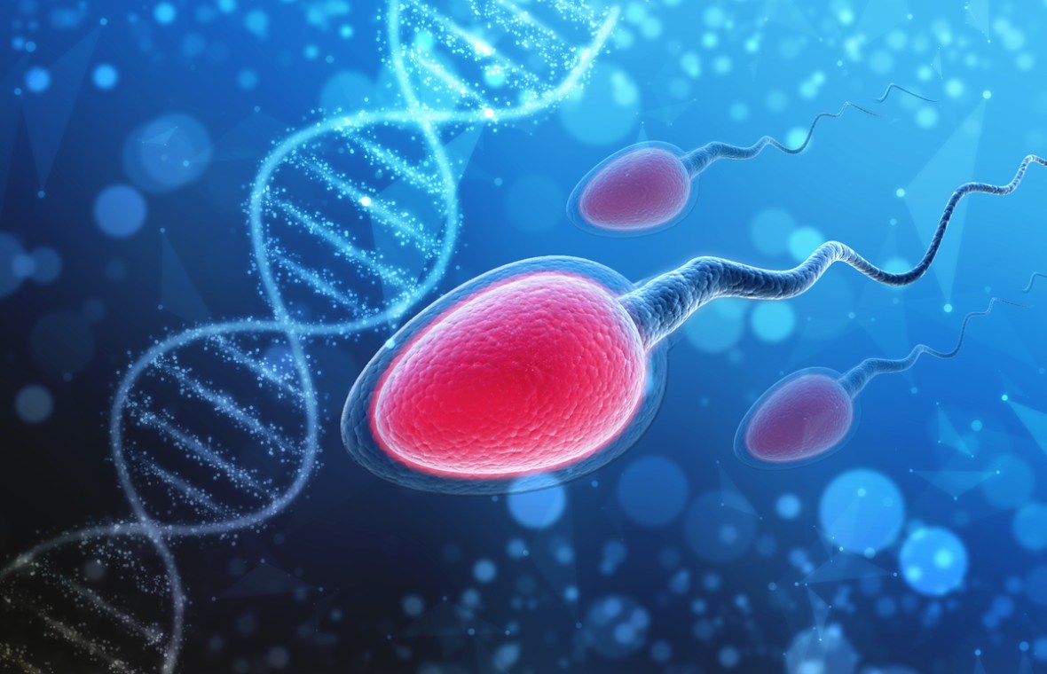 analize medicale barbati pentru sarcina. trei spermatozoizi inoata langa un lant ADN