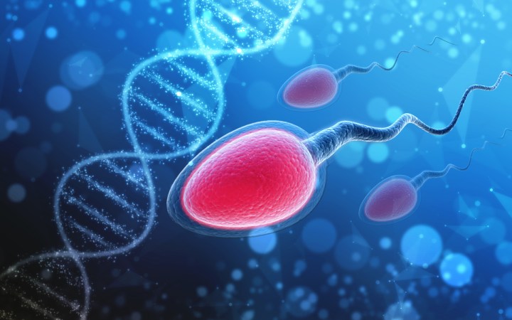 analize medicale barbati pentru sarcina. trei spermatozoizi inoata langa un lant ADN