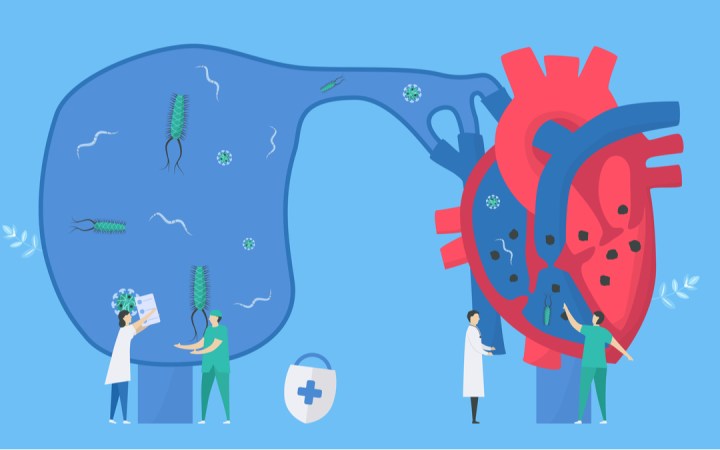 simptome endocardita tratament. Ilustratie cu o inima infectata cu microorganisme si o echipa medicala care o trateaza
