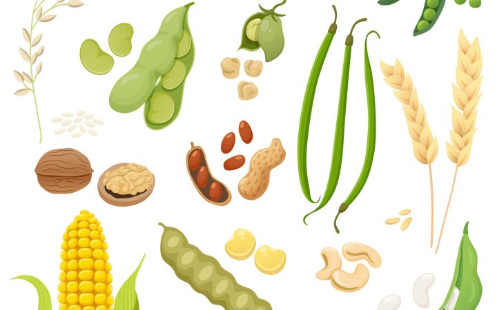 Alimente vegetale bogate în proteine care sunt foarte accesibile sunt leguminoasele. Ele pot asigura o mare parte din necesarul zilnic.