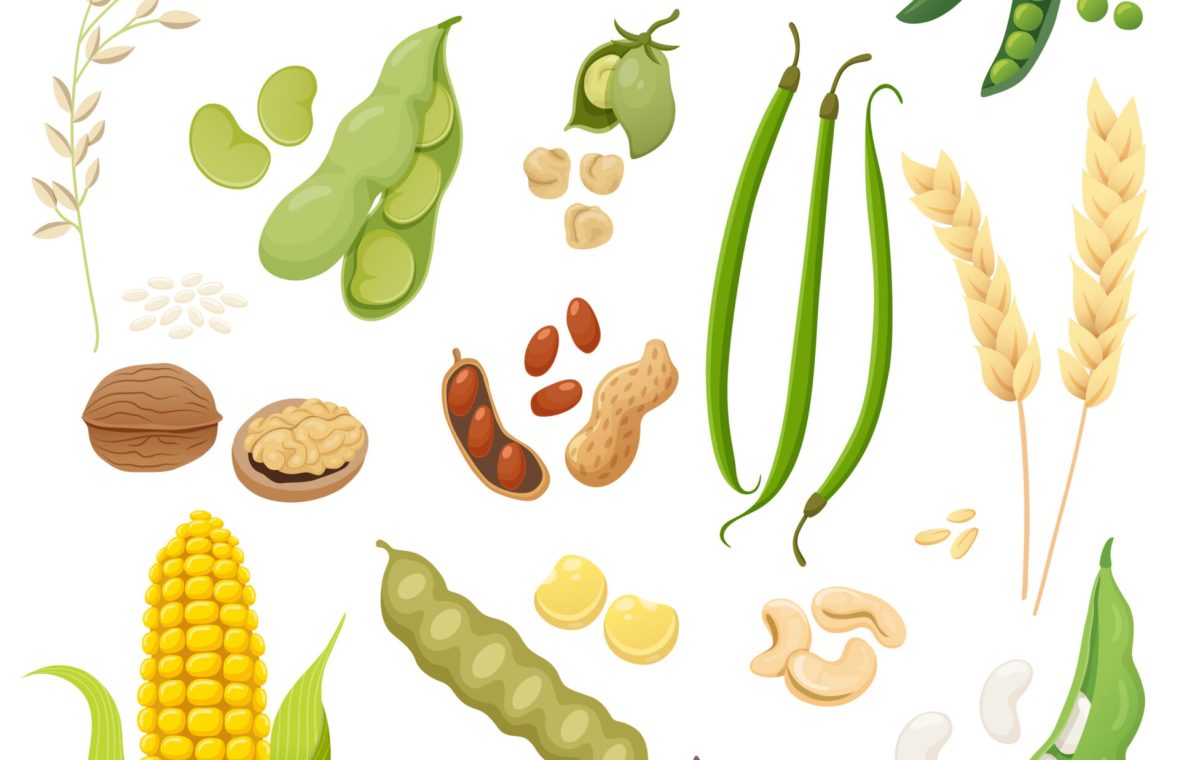 Alimente vegetale bogate în proteine care sunt foarte accesibile sunt leguminoasele. Ele pot asigura o mare parte din necesarul zilnic.