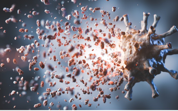 covid tratament studii clinice anticorpi monoclonali. Virus spulberat