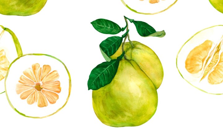 pomelo beneficii calorii si contraindicatii. fructe de pomelo intregi si sectionate