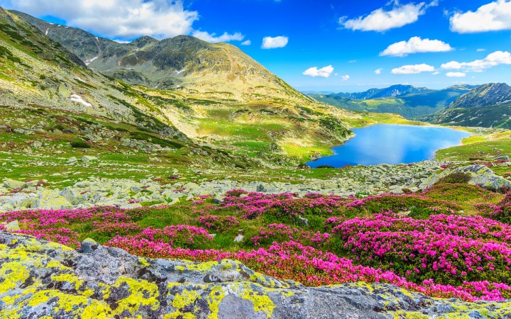 vacanta-pentru-minte-muntii-retezat-plaja-vadu-lacul-siriu-si-salina-turda. lacul bucura