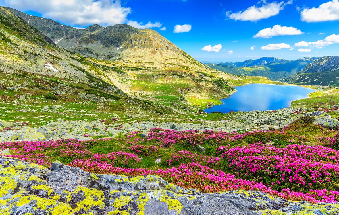 vacanta-pentru-minte-muntii-retezat-plaja-vadu-lacul-siriu-si-salina-turda. lacul bucura