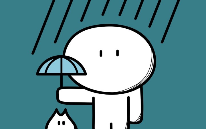 ce inseamna sa fii bun. om care protejeaza pisica cu umbrela