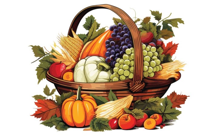 care sunt cele mai sănătoase fructe. coș cu fructe de toamnă