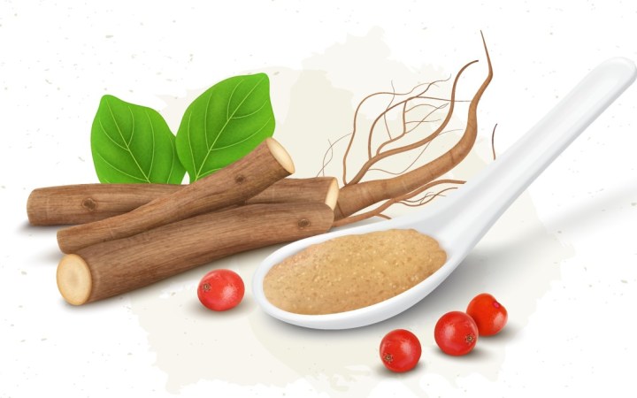 ashwagandha beneficii. planta, radacina, praful si fructele de ashwagandha