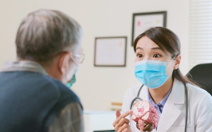 medic femeie explică pacient în vârstă arată pe un model de creier