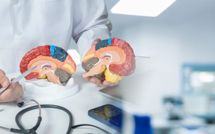 medic demonstrează unde se pot acumula microplasticele în creier