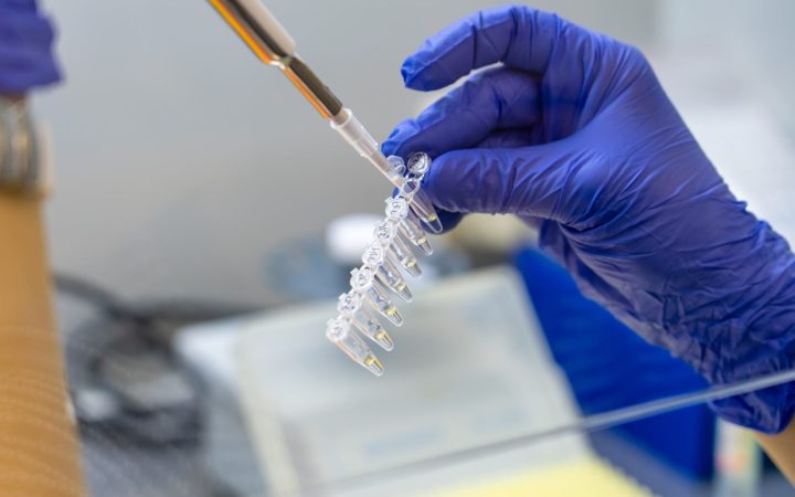 testare genetică în laborator