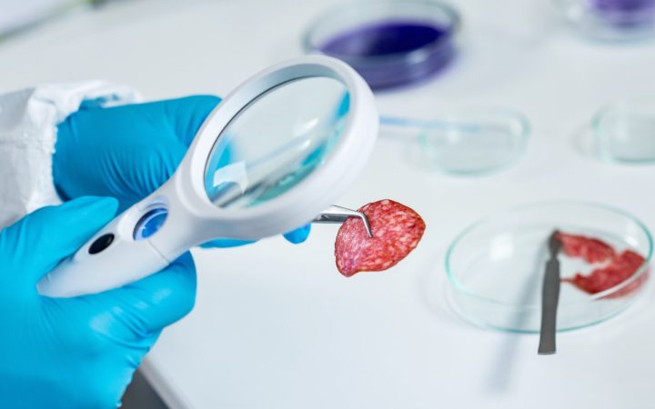 cercetător în laborator, analizează o felie de salam sub lupă