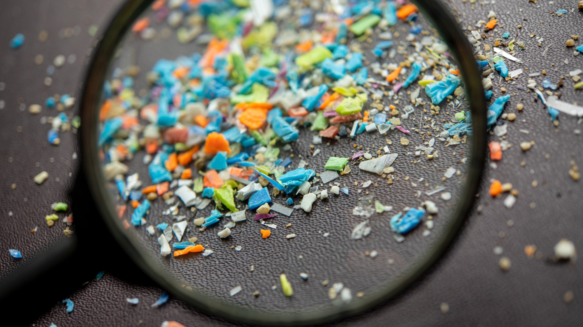 Primul supliment care ar putea „prinde” microplasticele înghițite. Ce au arătat testele preliminare