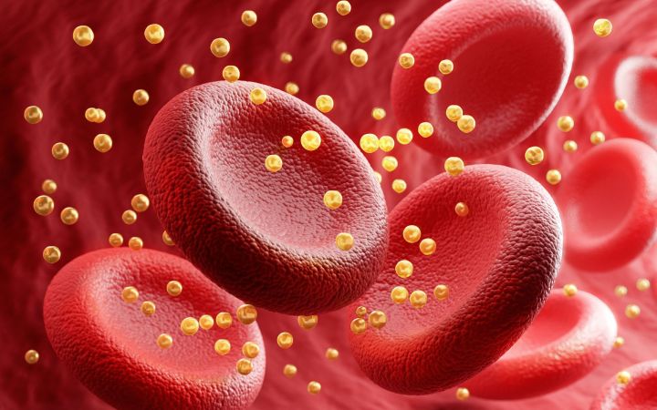 ilustrație cu molecule de colesterol care plutesc printre hematii